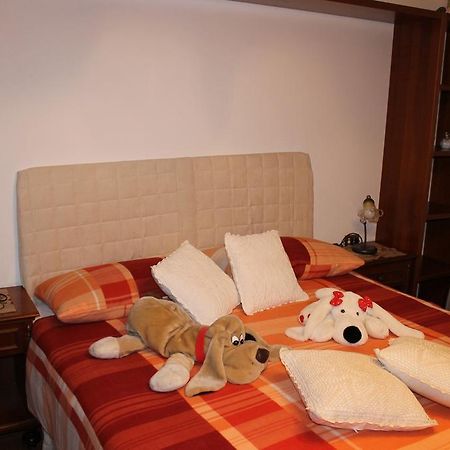 Patrick'S House Apartment Belluno Ngoại thất bức ảnh